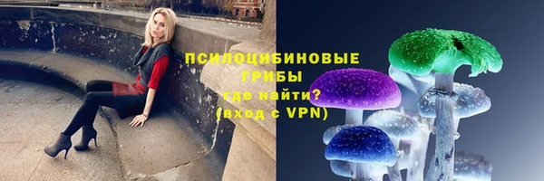 гидра Нея