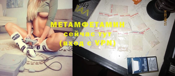 сатива Надым