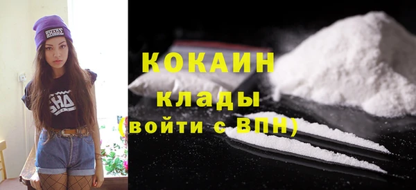 молекула духа Кропоткин