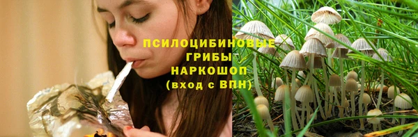 сатива Надым