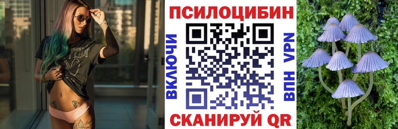 продажа наркотиков Озёрск Псилоцибиновые грибы GOLDEN TEACHER