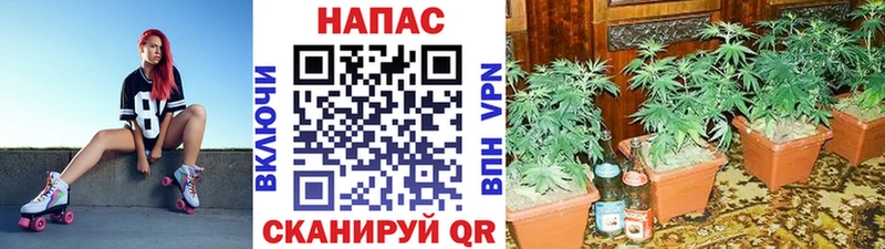 Каннабис тримм  Озёрск 